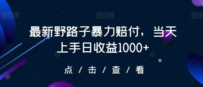 揭秘新野路子 暴力赔付日赚千 上手即赚-九零创业网