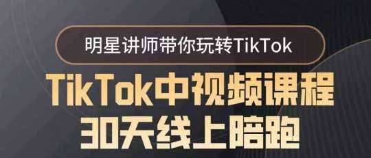 30天TikTok陪跑 明星讲师带你飞-九零创业网