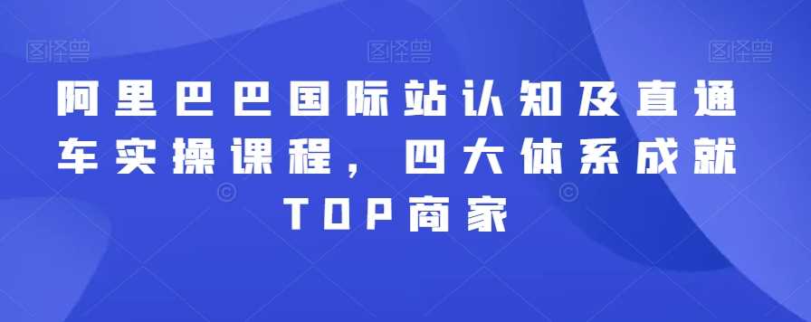 阿里巴巴国际站直通车实战 四大体系助你成为TOP商家-九零创业网