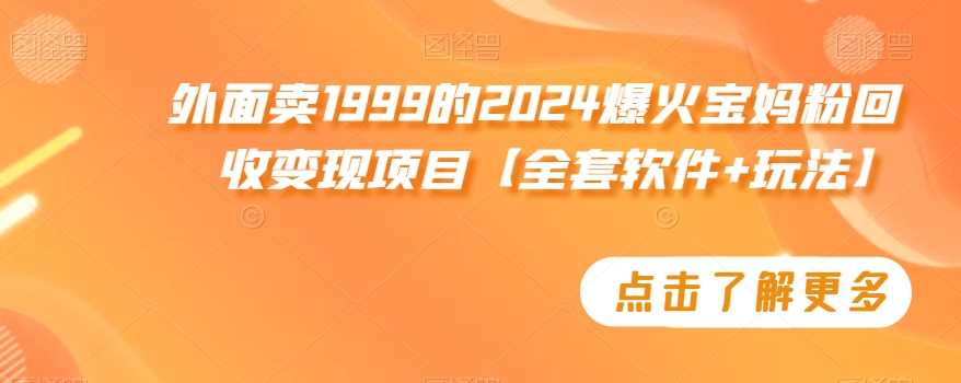 揭秘1999宝妈粉回收变现项目 软件玩法全解析-九零创业网