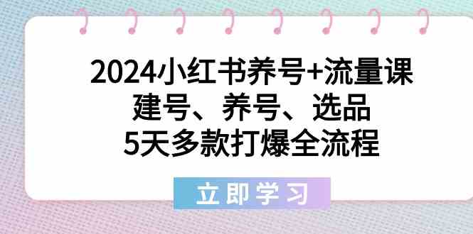 5天速成小红书爆款 养号+选品全攻略-九零创业网