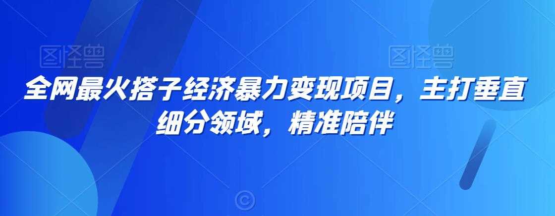 揭秘全网爆火细分领域 精准陪伴暴力变现新玩法