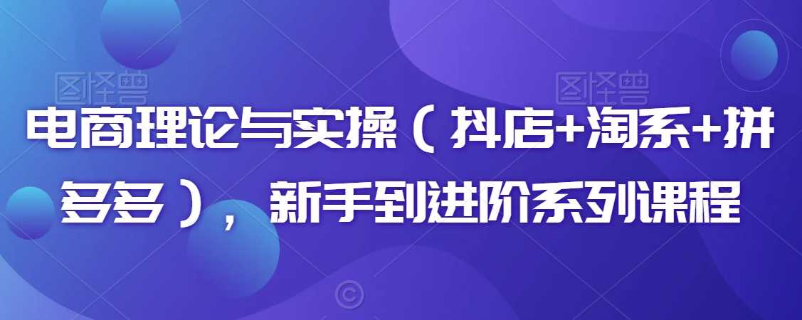 电商实战全攻略 抖店 淘系 拼多多新手进阶课