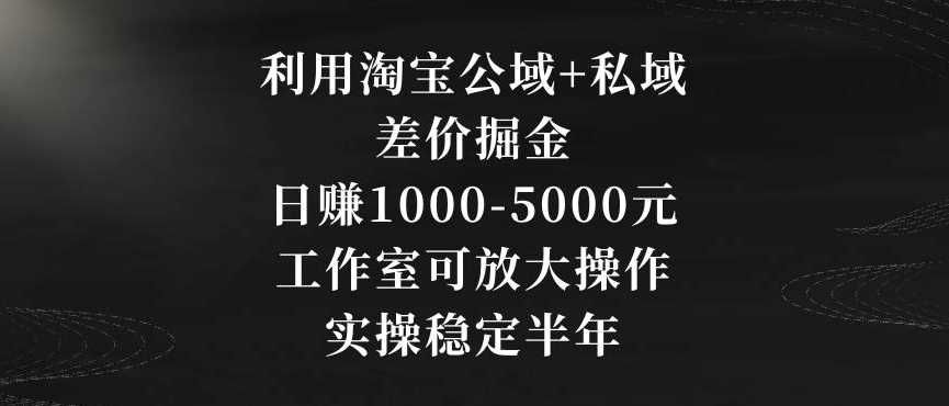 淘宝公域私域差价策略 日赚千元 工作室放大盈利秘籍-九零创业网
