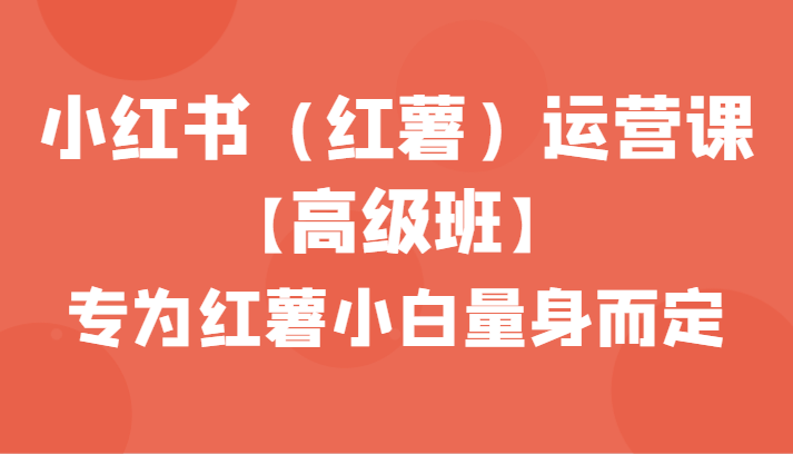 红薯小白速成宝典 42课打造小红书运营达人-九零创业网