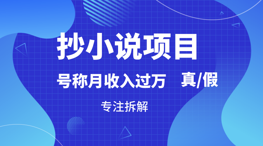 揭秘抄小说项目 月入过万真伪辨 可行与否一看便知-九零创业网