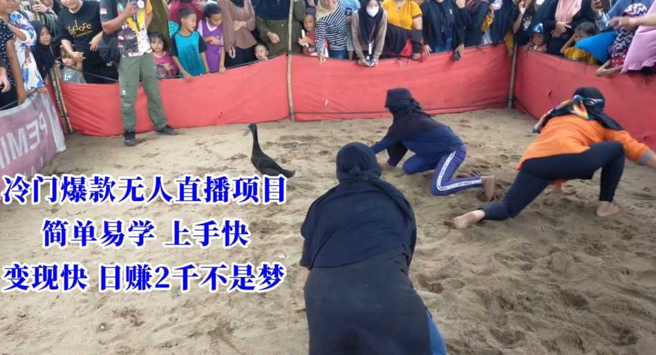 冷门爆款无人直播 轻松日入两千 快速上手变现-九零创业网
