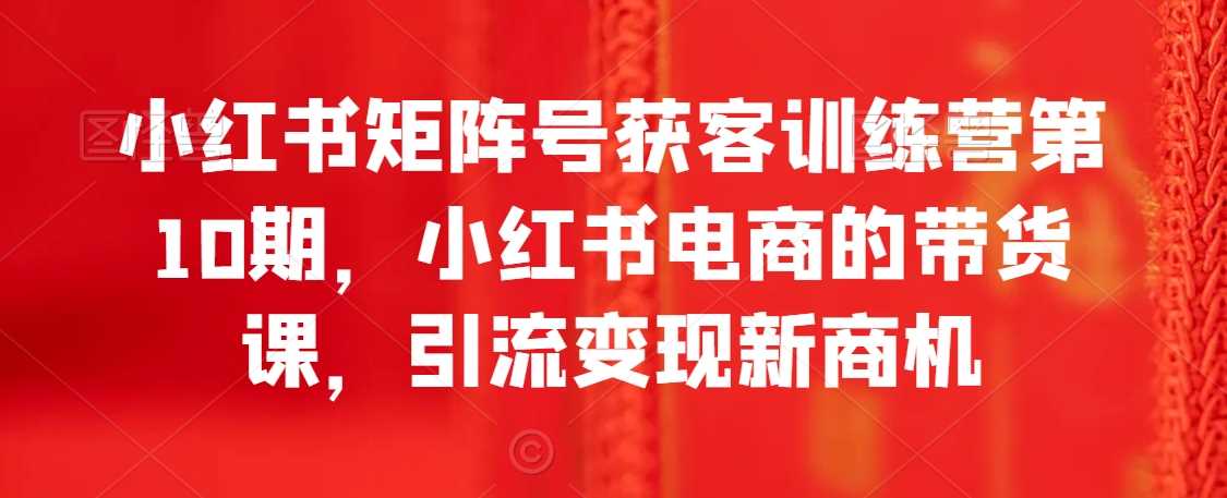 小红书矩阵号训练营第10期 带货课揭秘 引流变现新机遇-九零创业网