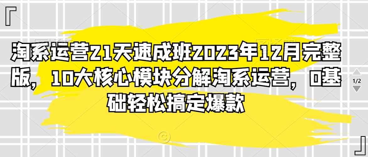 2023淘系运营21天速成班 10大模块解密爆款之路-九零创业网