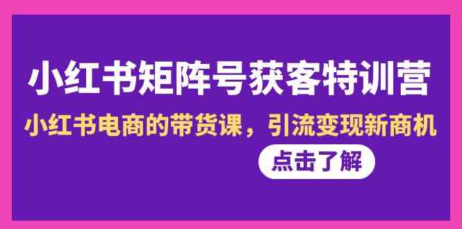 小红书电商带货课 矩阵号特训营第10期 揭秘引流变现新商机-九零创业网