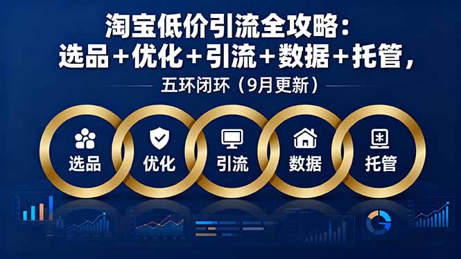 淘宝低价引流全攻略 五环闭环 高效选品与优化技巧-九零创业网