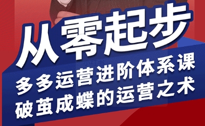 拼多多运营进阶课 从新手到高手 蝶变运营大师-九零创业网