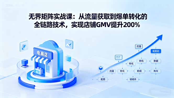 全链路流量转化矩阵 GMV翻倍秘籍