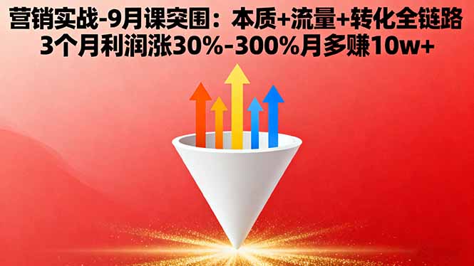 3个月营销突破 利润翻倍 月入10万+实战攻略-九零创业网