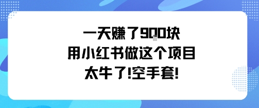 小红书日赚9金 空手创业奇迹录-九零创业网
