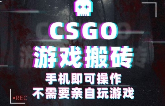 CSGO挂机捡漏 日赚5+卡 年底商机 手机副业揭秘-九零创业网