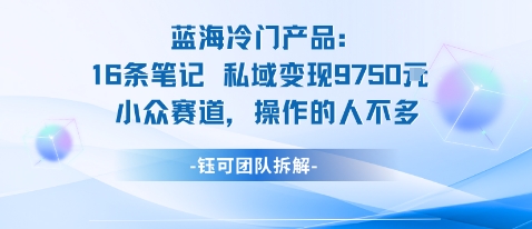 探索蓝海私域 挖掘9750米小众赛道 独辟蹊径变现新机遇-九零创业网