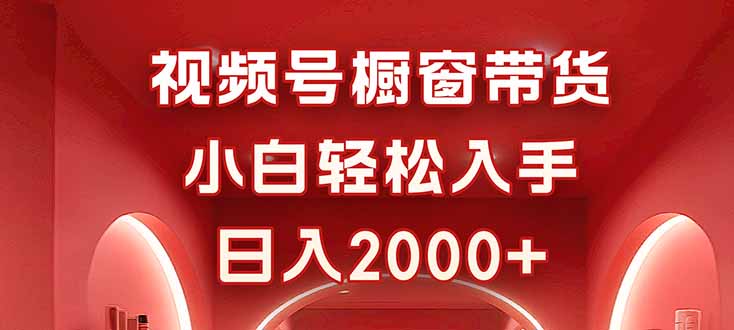 视频号橱窗带货攻略 小白日赚2000+ 轻松上手-九零创业网