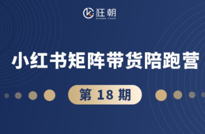抖音小红书视频号带货直播 11 18期变现攻略揭秘-九零创业网