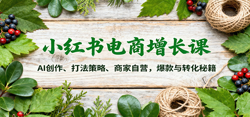 小红书电商增长课 AI赋能 策略制胜 自营爆款转化秘籍-九零创业网