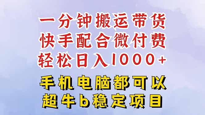 快手黑科技带货 微付费投流 日入过千轻松赚-九零创业网