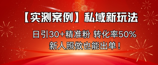 私域引流秘籍 日增30粉 转化率50% 轻松出单-九零创业网
