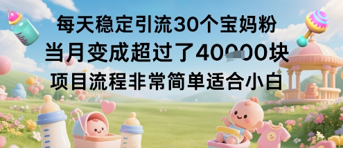 小白快速引流 日增宝妈粉30+ 月破万粉秘诀-九零创业网