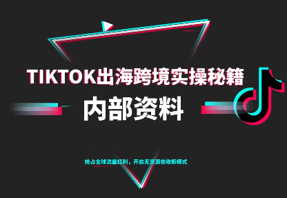 TikTok跨境电商从零到一 10月运营攻略速览-九零创业网