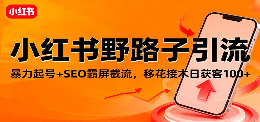 野路子引流 SEO霸屏 日吸粉百+ 揭秘高效起号秘诀-九零创业网