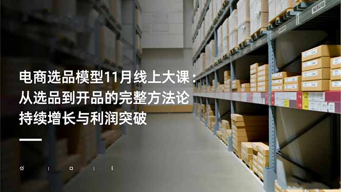 电商选品全攻略 11月大课 从选品到爆款 盈利增长秘诀-九零创业网