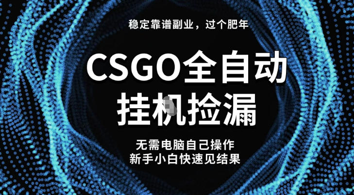 CSGO全自动捡漏新玩法 小白日赚5+ 揭秘稳定副业秘诀