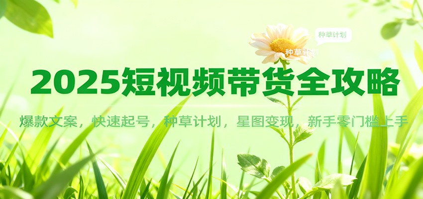 2025短视频带货全解析 文案爆款 快速起号 种草高招 星图变现 新手轻松入门-九零创业网