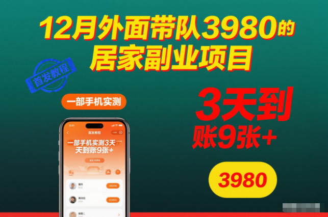 3980居家副业项目揭秘 3天手机操作 轻松赚9+订单-九零创业网