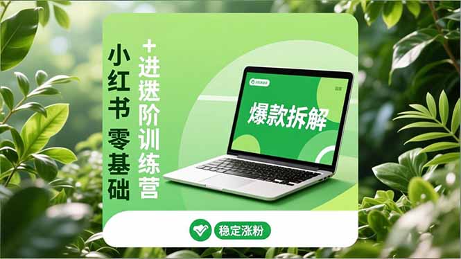 小红书训练营 零基础到高阶 养号涨粉 变现攻略一网打尽-九零创业网