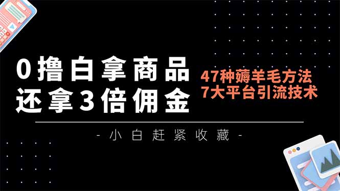 揭秘47招羊毛党攻略 3倍佣金 月入过万平台引流术-九零创业网