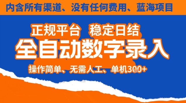 全自动数字录入 日赚3张 零成本操作 轻松矩阵盈利-九零创业网