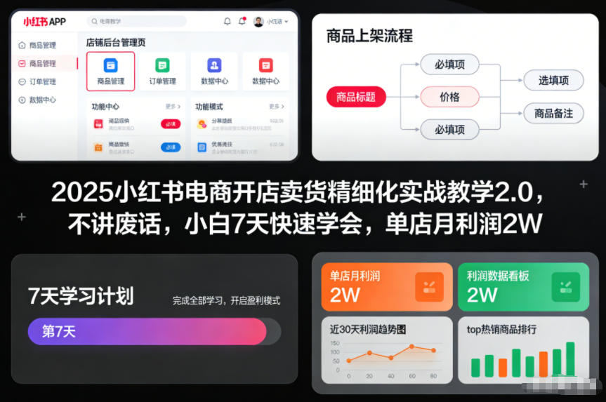 7天小白速成 小红书电商月入2W实战攻略-九零创业网