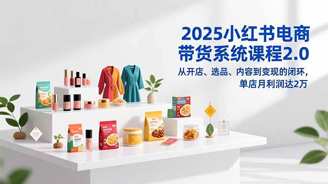 2025小红书电商课程2.0 月入2万 开店选品变现全攻略-九零创业网