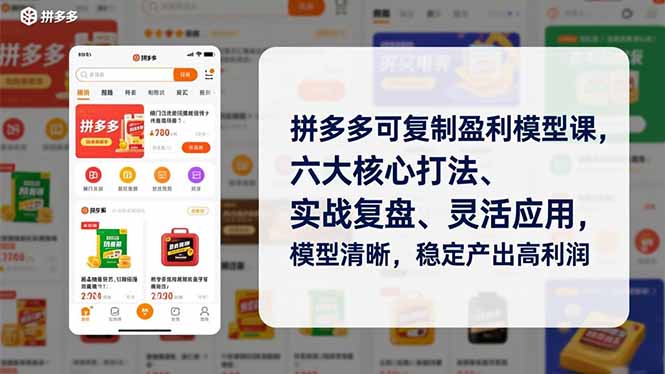 拼多多盈利模型课 六大核心策略 实战复盘 高效盈利指南-九零创业网