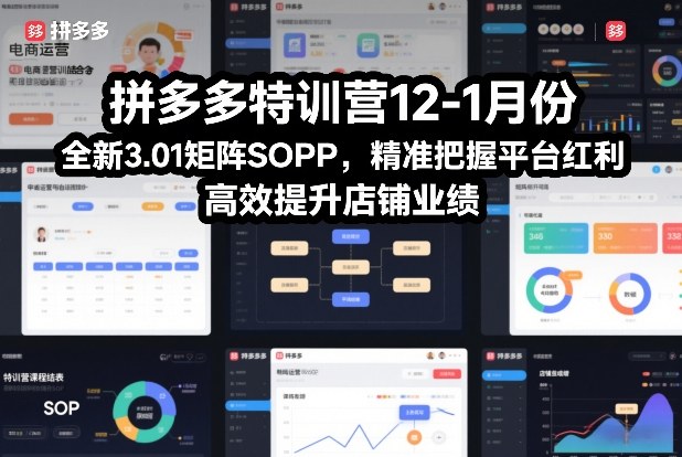 拼多多3.01矩阵Sop 1月特训营 赢平台红利 业绩翻倍攻略-九零创业网