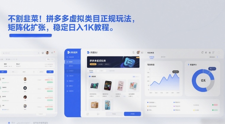 拼多多虚拟类目合规矩阵策略 日入千元揭秘-九零创业网