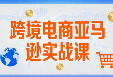 丝丝老师·亚马逊跨境电商实战课 2022更新版-九零创业网
