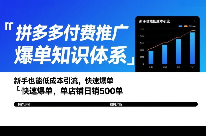 拼多多付费推广 新手低成本引流 日销500单轻松达成-九零创业网