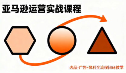 毕方电商·亚马逊全站会员课 3月更新版 实战指南-九零创业网